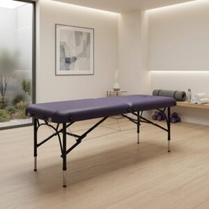 Firefly Gemini Flash can you add this massage couch into a sporty, calming minimal, treatment room, keepin 87107